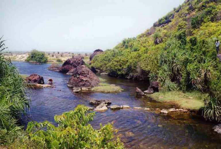 fresh-water-paliem-lake-goa